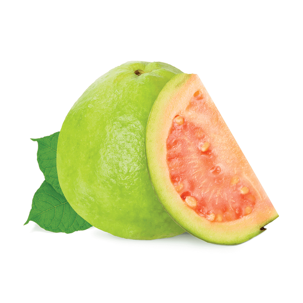 Fumari | Stogz | Find Your High