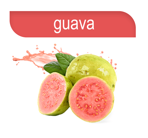 Hookafina OG | Stogz | Find Your High