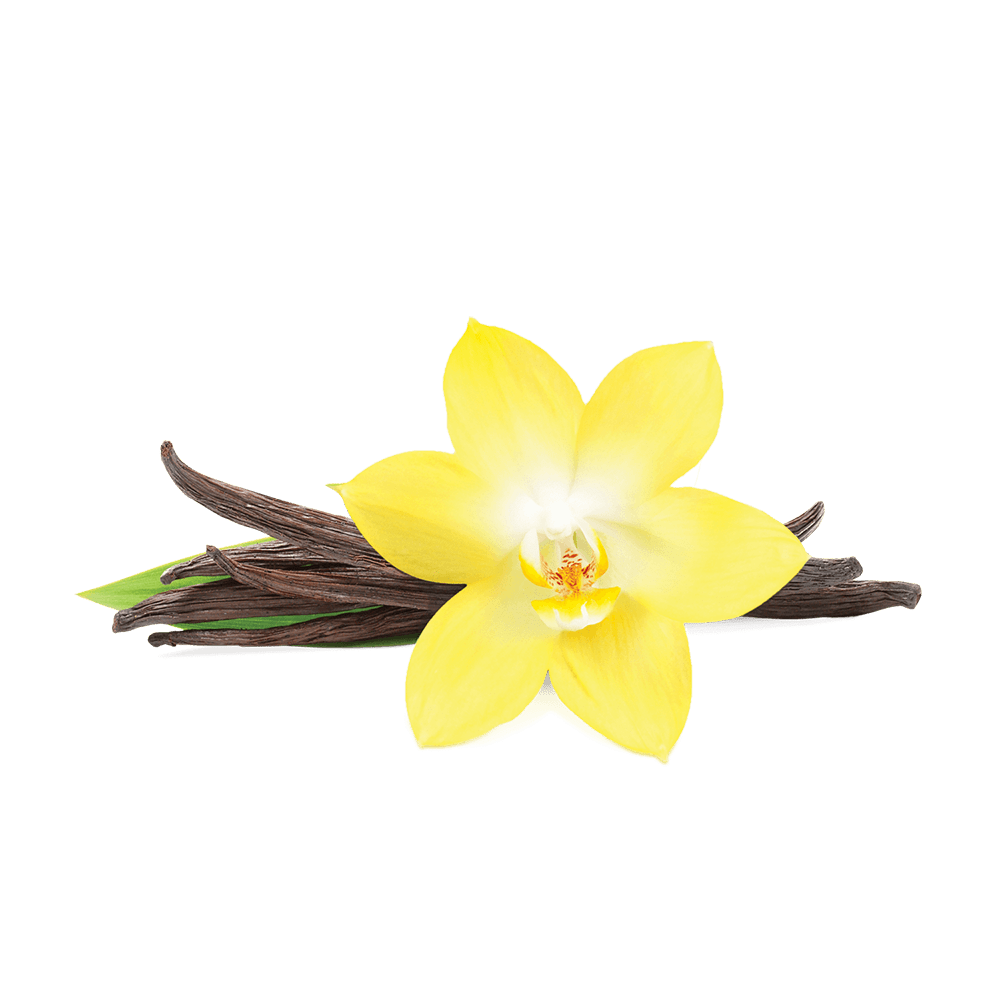 Fumari | Stogz | Find Your High