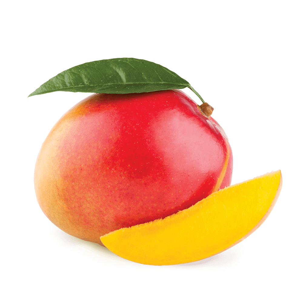 Fumari | Stogz | Find Your High