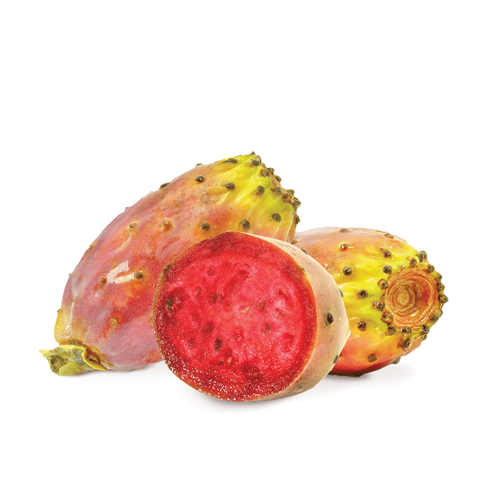 Fumari | Stogz | Find Your High