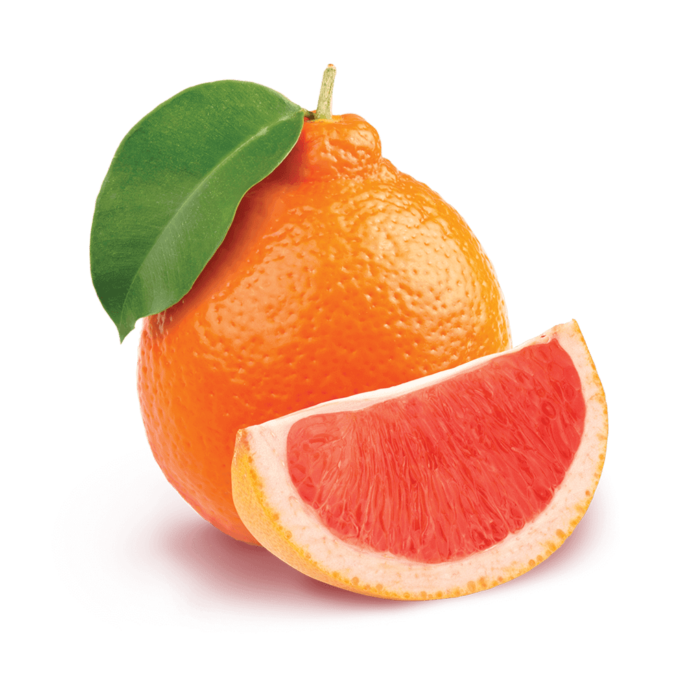 Fumari | Stogz | Find Your High