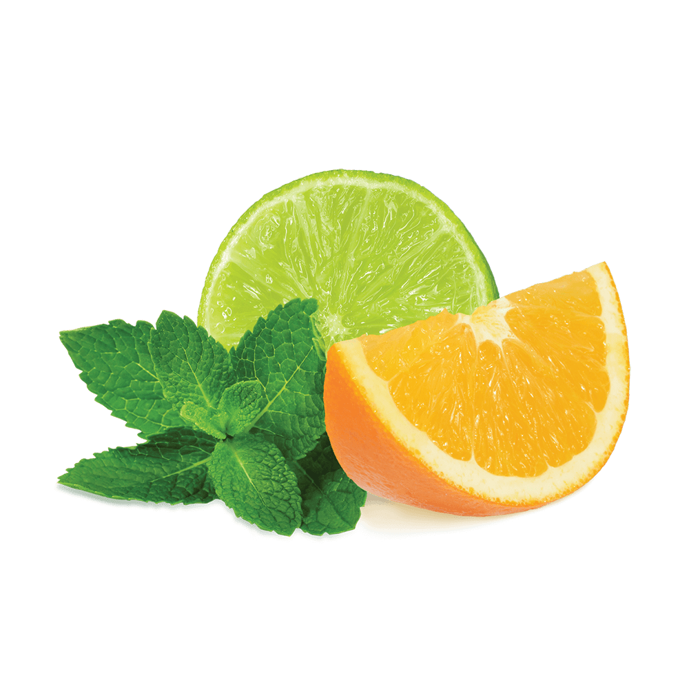 Fumari | Stogz | Find Your High