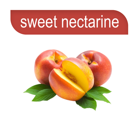 Hookafina | Stogz | Find Your High