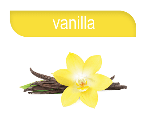 Hookafina | Stogz | Find Your High