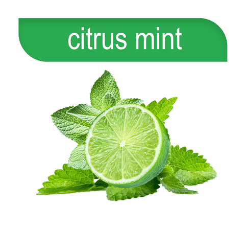 Hookafina | Stogz | Find Your High