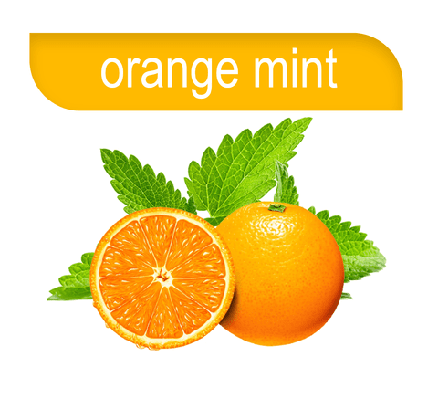 Hookafina | Stogz | Find Your High