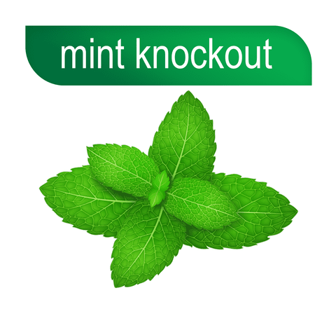 Hookafina | Stogz | Find Your High