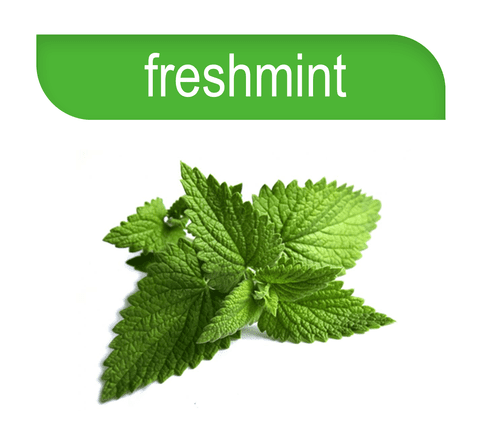 Hookafina | Stogz | Find Your High