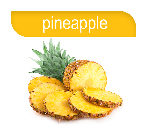 Hookafina | Stogz | Find Your High