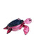 Turtle Time Gold Ruby Turtle | Stogz | Find Your High